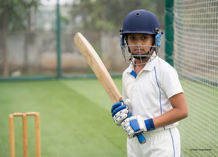 Cricket Net